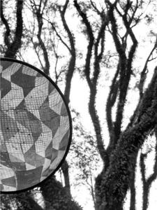 Foto tira partido do reflexo da popular calçada com o diagrama de SP.  Foto: Duda Groisman 