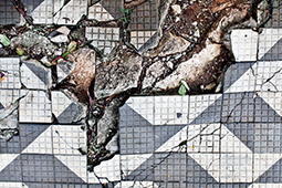 Calçada da Rua Vergueiro. Foto: Lucas Lima